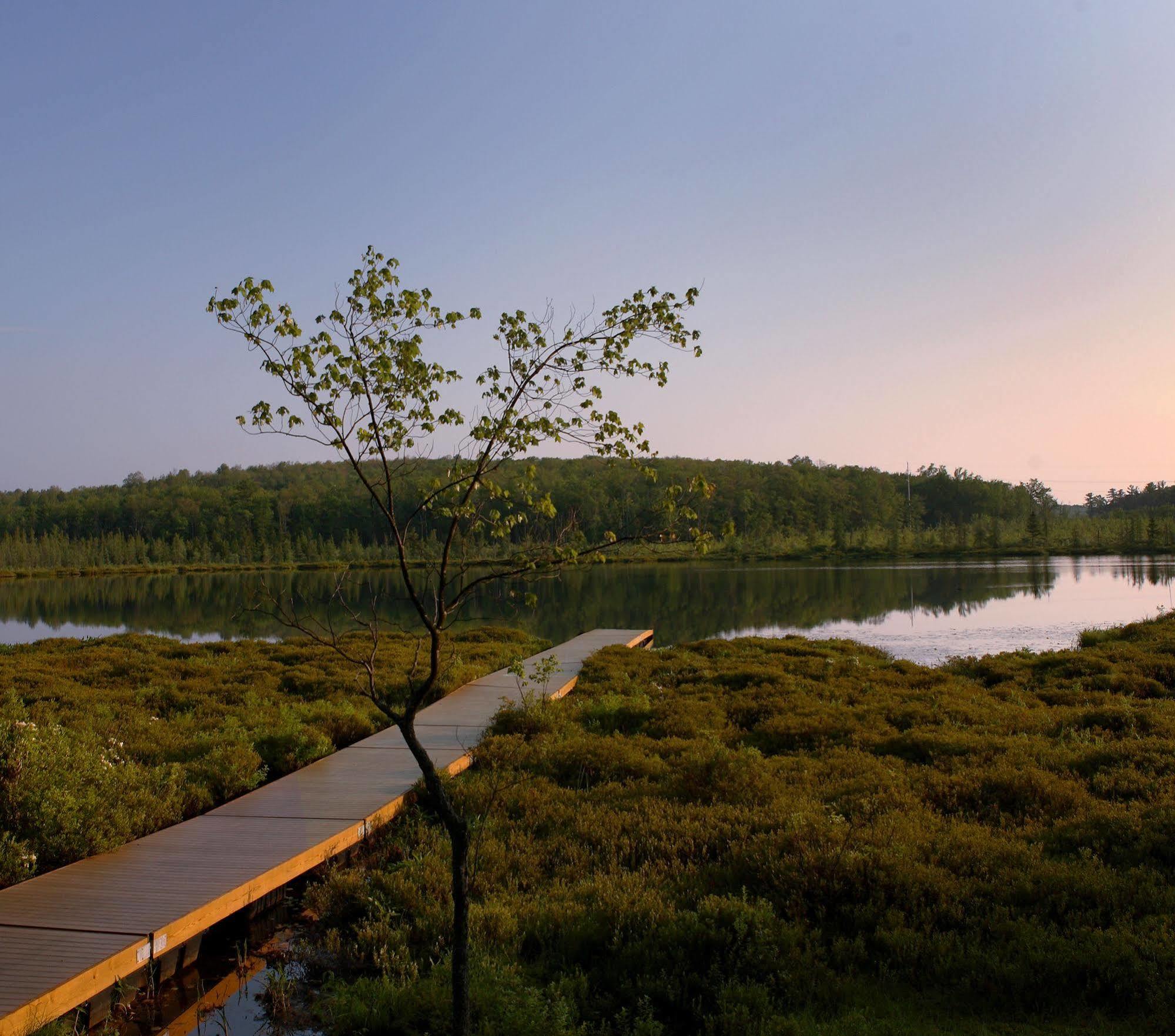 The Lodge At Woodloch Hawley Exteriér fotografie